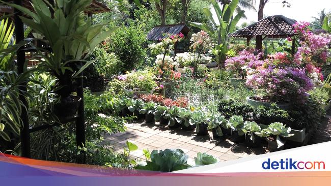 Tak Hanya Pembibitan E Park Banyuwangi Juga Jadi Rumah