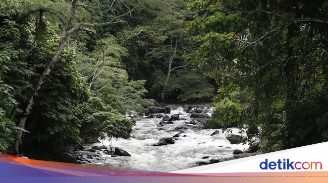 Hari Bumi: Pemerintah Harus Segera Perbaiki Alih Fungsi Lahan &amp; Hutan
