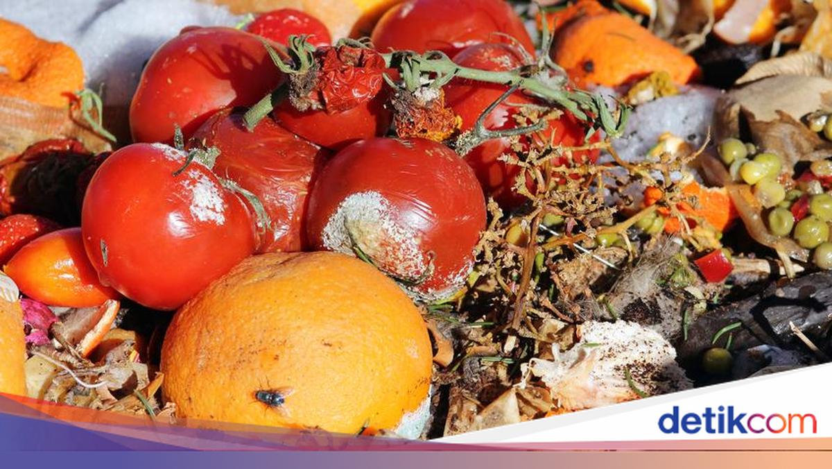 Pro Rata Food Pemkab Bogor: Rata-rata Jumlah Food Waste 1 Orang Capai 77 Kg Per Tahun