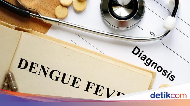 Dengue Fever Outbreak in South Jakarta: Over 800 Cases Reported