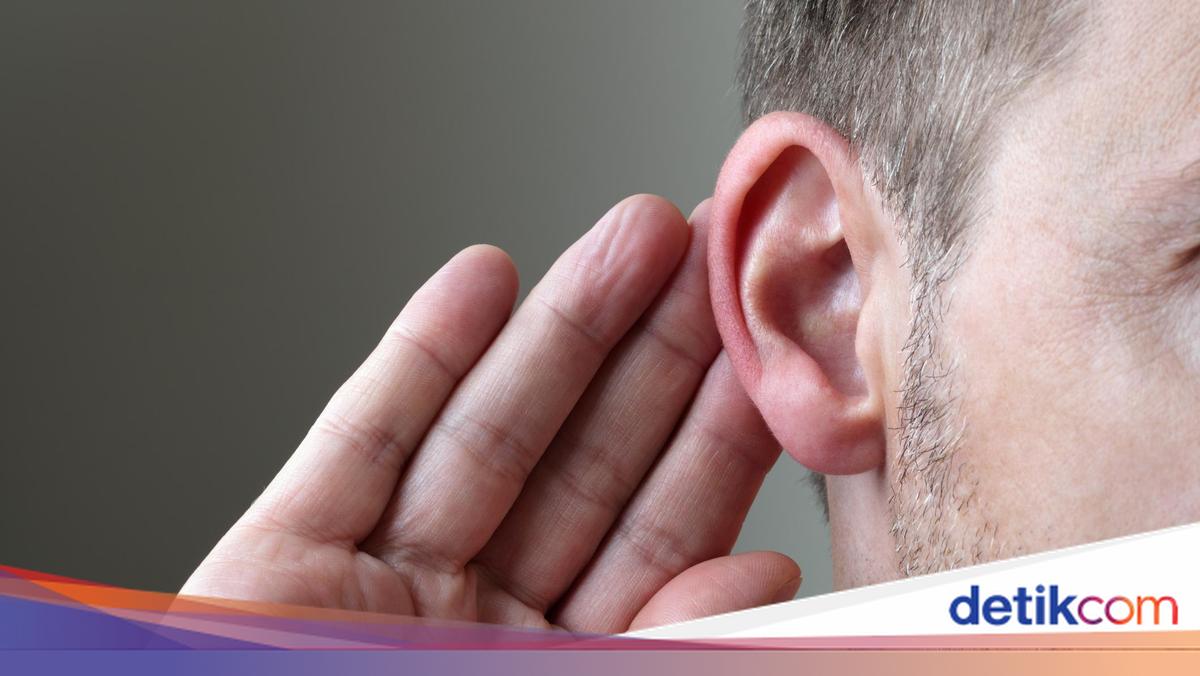 Perang Besar Meletus hingga Bertahun-tahun Akibat Telinga