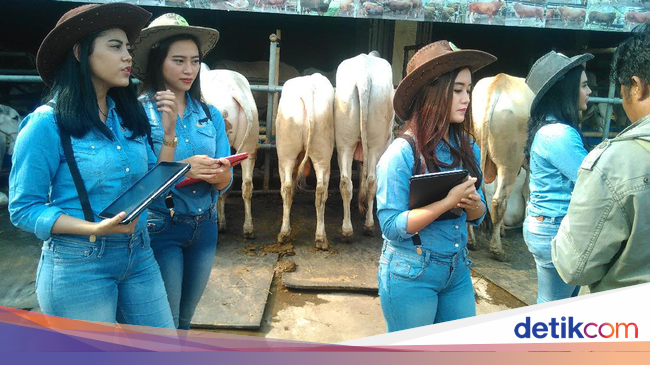 Haji Doni Masih Konsisten Pekerjakan SPG di Tempat Jualan 