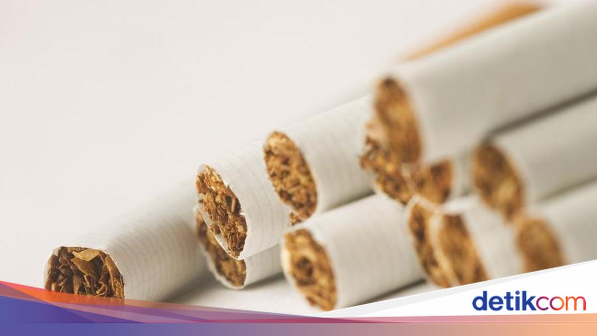 Soal Wacana Pembatasan Nikotin, Kementan Sebut Butuh Riset Puluhan Tahun