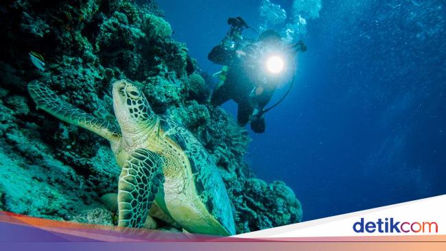 Kenapa Air Laut Asin