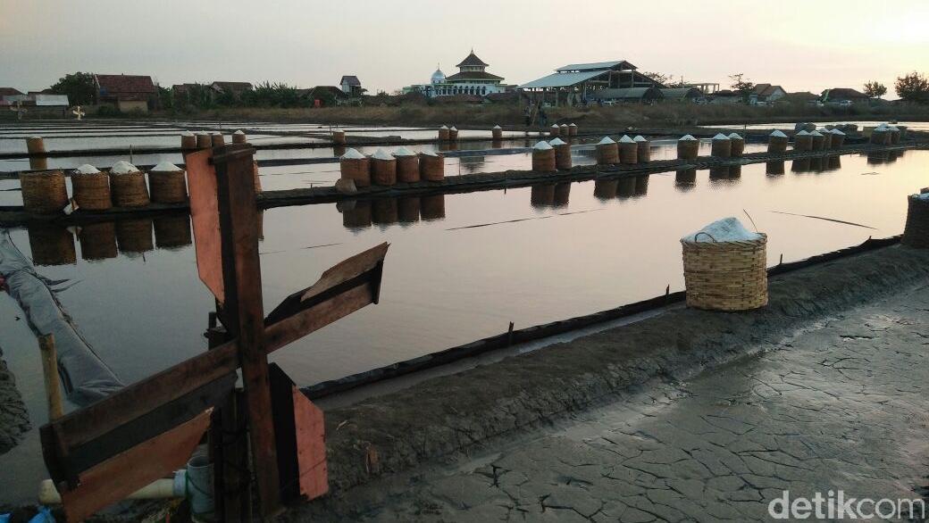 RI Punya Garis Pantai Panjang, Tapi Kenapa Masih Impor Garam?