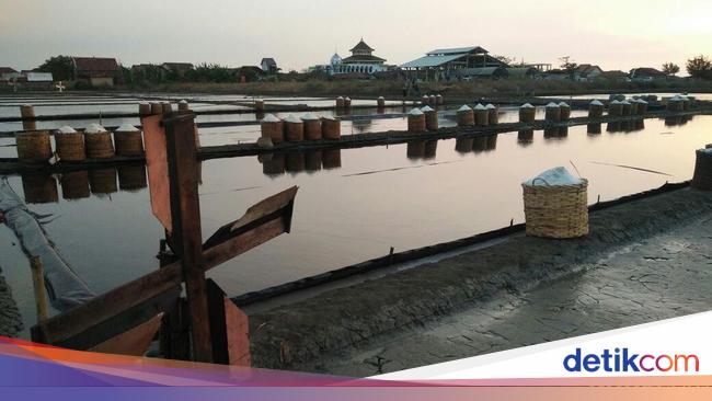 RI Punya Garis  Pantai Panjang  Tapi Kenapa Masih Impor Garam 