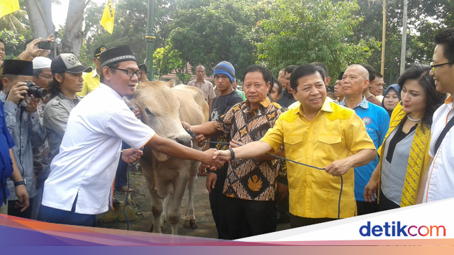 Lepas Sapi Kurban, Novanto Bersyukur Gugatan Dikabulkan MK