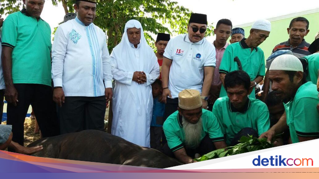 Demokrat Potong 59 Sapi Kurban di Raja Ampat, Warga Berdoa 
