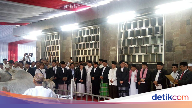Mentan Serahkan Sapi Limosin Milik Jokowi ke Masjid Istiqlal