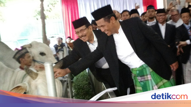 Tak Ada Pembagian di Masjid Istiqlal, Hewan Kurban Akan 