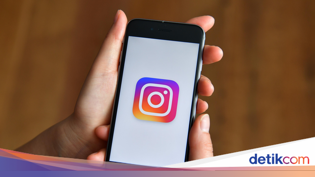 Setelah Telur, Idola Baru di Instagram: Pohon