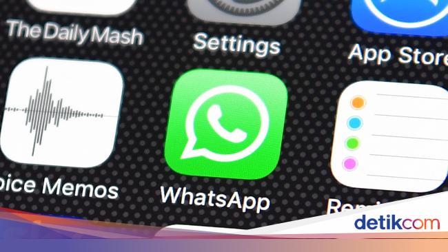 Cara Sembunyikan Status Online Di Whatsapp Layak Dicoba