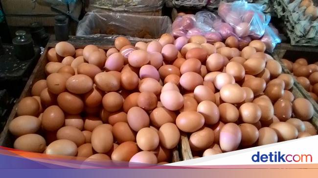 Harga Telur Ayam Turun Beras Stabil