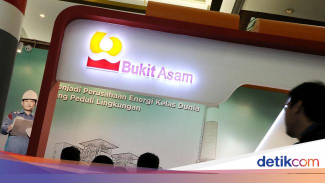 PTBA Cetak Laba Rp 3,23 T hingga Kuartal III-2024