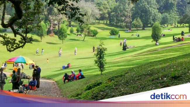 Kebun Raya Cibodas Tempat Wisata Alam Yang Sejuk Dan Edukatif Kebun Raya Cibodas Tempat Wisata Alam Yang Sejuk Dan Edukatif
