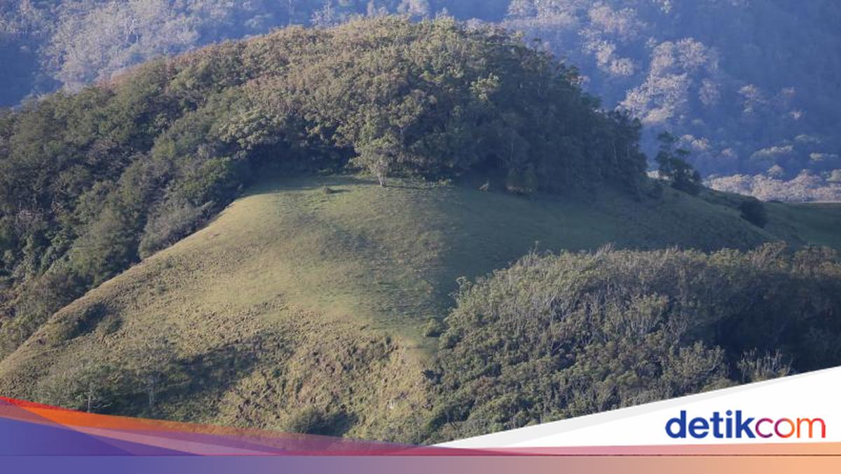 Gunung Mutis di TTS, Ritual Membakar Kemenyan-Rokok Sebelum Mendaki