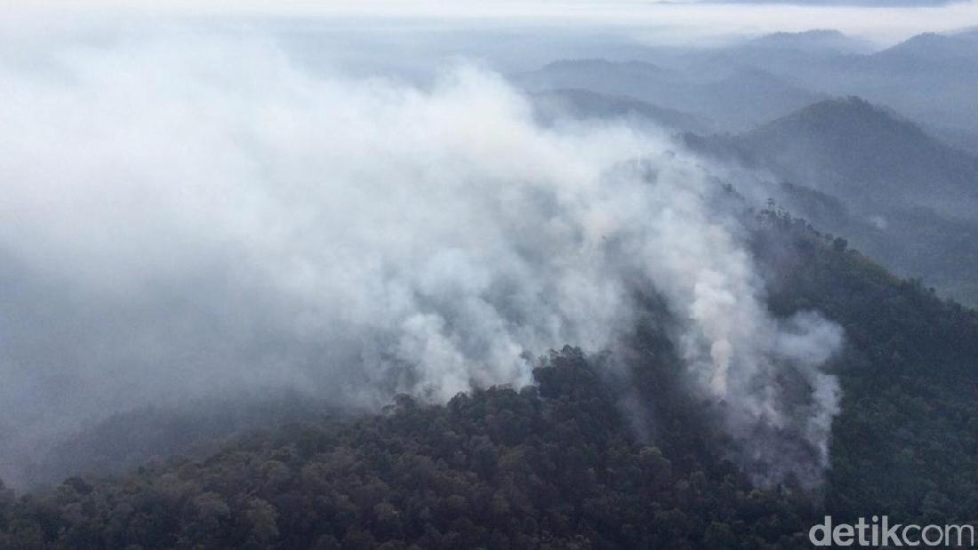 Kebakaran Hutan, Tanggung Jawab Siapa?