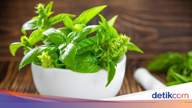 cina andalkan herbal untuk obat