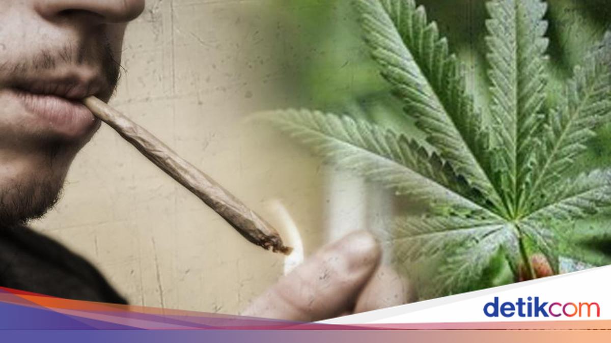 13 Orang Terjaring Razia Narkoba di Pekanbaru, Termasuk Selebgram dan Anak Pejabat