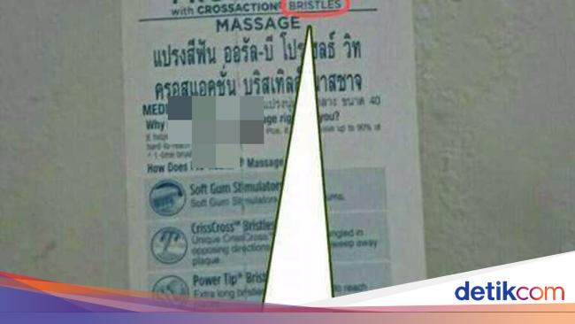 Beredar Kabar Ada Sikat Gigi Dibuat dari Bulu Babi Beredar Kabar Ada Sikat Gigi Dibuat dari Bulu Babi