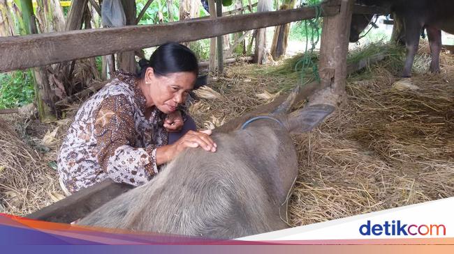 Bom Kerbau di Bantul Polisi Gambar Sketsa Wajah Pelaku Bom Kerbau di Bantul Polisi Gambar Sketsa Wajah Pelaku