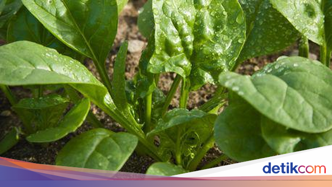 94a1aadb a2b2 4ab8 8f28 d7c6415c387f_169