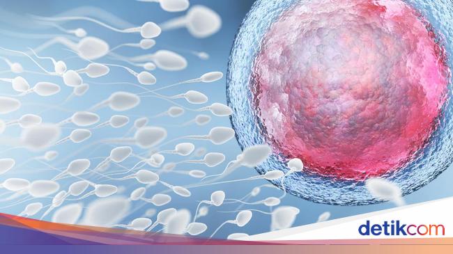 9 Obat Alami untuk Mengentalkan Sperma, Suami Wajib Tahu!