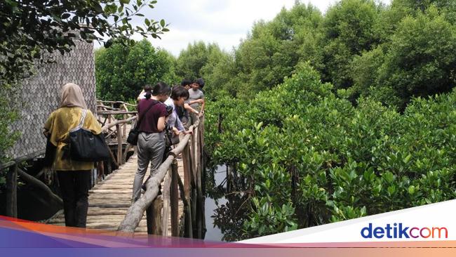 Healing Tipis di Pinggir Kota, Cuma Modal Rp 150 Ribu