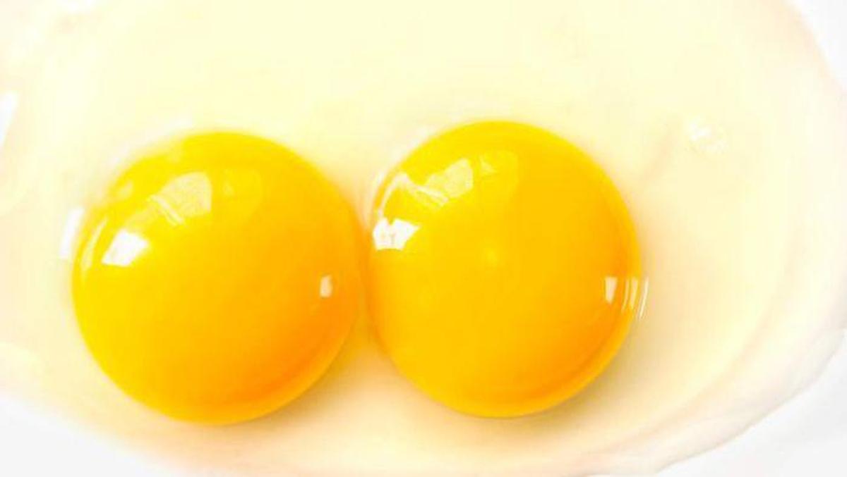 Porno egizaklarni quyish