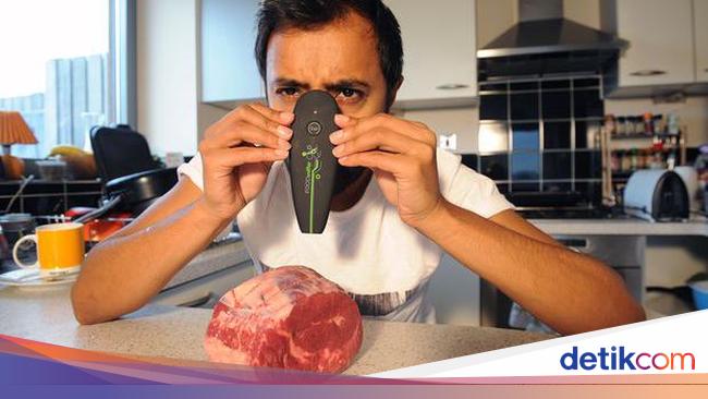 Lewat Alat Pengendus Makanan Ini Bisa Diketahui Makanan ...