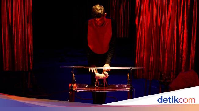 Serunya Main Boneka Binatang di Panggung Teater Serunya Main Boneka Binatang di Panggung Teater