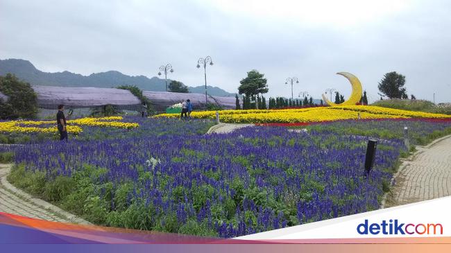 The Bloom, Sisi Lain Thailand yang Cantik di Khao Yai