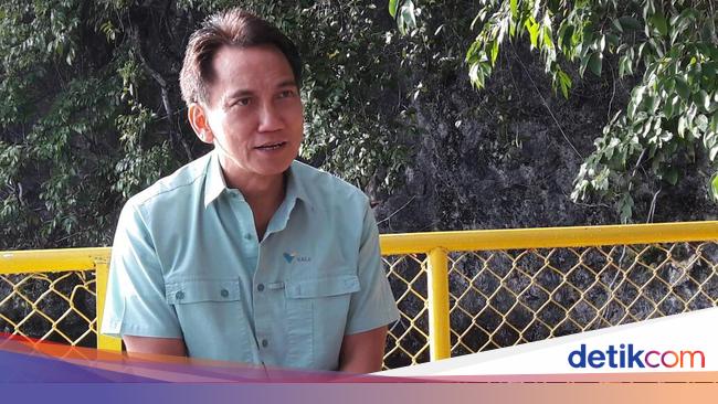 Bos Antam Pede Prabowo Lanjutkan Hilirisasi Nikel!