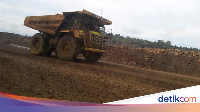 Nasib Investasi Vale Usai Prabowo Resmi Jadi Presiden