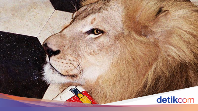 Gucci Ajak Harimau Singa  dan Jerapah Jadi  Model Kampanye 2019