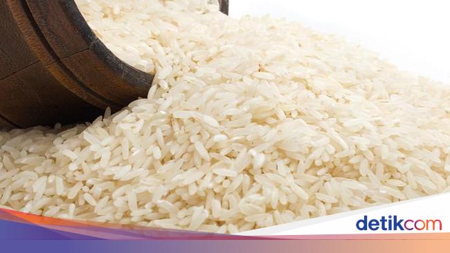 Mengonsumsi Beras Yang Sudah Berjamur Apakah Aman Mengonsumsi Beras Yang Sudah Berjamur Apakah Aman