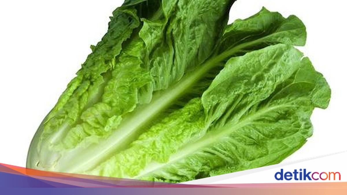 Romaine Lettuce Juga Enak Dipanggang untuk Salad, Ini Resep dari Chef Revo