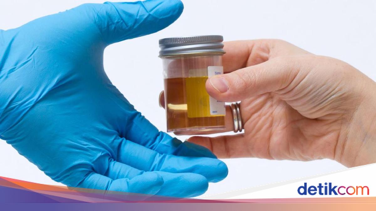 2.263 Napi hingga 235 Petugas Lapas Narkotika Jakarta Dites Urine