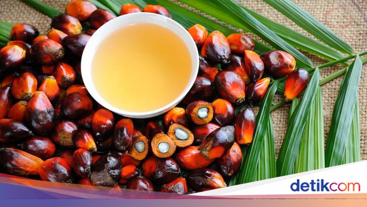 Nilai Transaksi OLEIN Melonjak 338% Tembus Rp 3,83 T