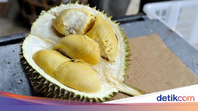 Makan Durian Campur Soda Bisa Bikin Mati Mendadak Ini Kata Dokter