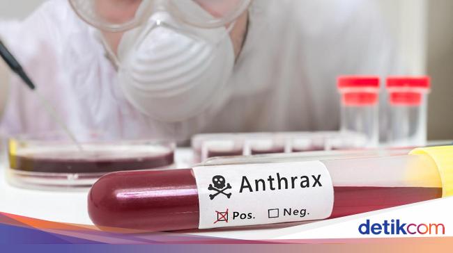 China Reports Deadly Anthrax Pneumonia Case Amid COVID-19 Pandemic