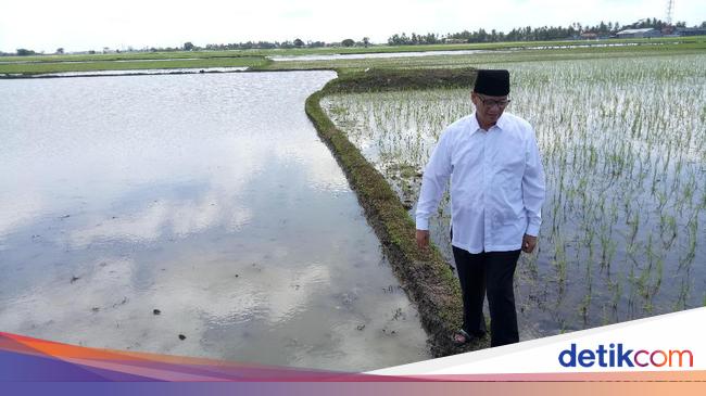 dampak narkoba bagi keluarga Atasi Narkoba  Cagub Banten Wahidin Ingin Libatkan Pesantren