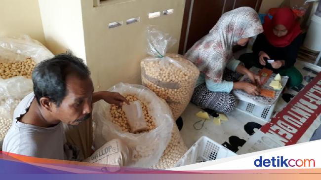 Modal Rp 50 Ribu Perempuan Ini Raup Rp 50 Juta Bulan Dari Bisnis Snack
