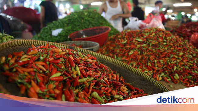 Harga Cabai Rawit Merah Rata rata Nasional Masih di Atas Harga Cabai Rawit Merah Rata rata Nasional Masih di Atas