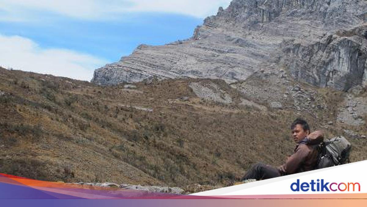 Salju di Puncak Jaya Kini Tersisa 2 Persen, Tak Lagi Abadi
