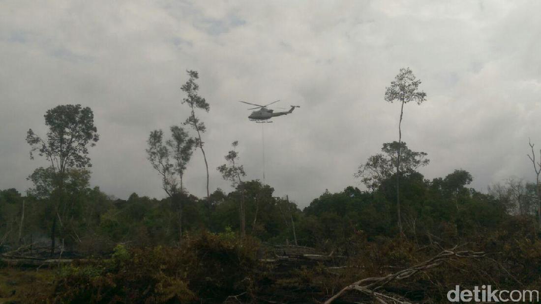 Pemprov Jambi Naikkan Status Karhutla Jadi Siaga Darurat