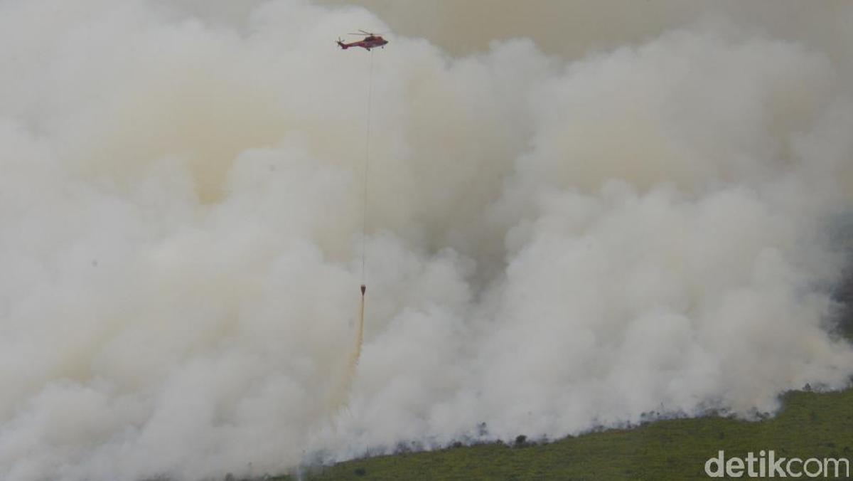 Darurat Kesehatan! Karbon Monoksida Tinggi di Kalimantan, PM10 Tembus Level Berbahaya