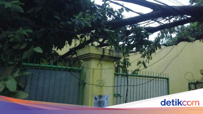 Hujan Deras Pohon Tumbang Timpa Kabel Listrik di Cijantung