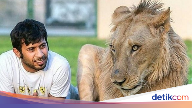 Potret 'Kemesraan' Pria Arab dengan Singa Hingga Macan Tutul