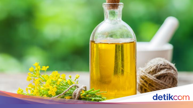 Ini Cara Tepat Menggunakan Minyak Canola dan Minyak Zaitun